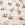 Nicky velours - teddyberen - gebroken wit - 4/K66004-510 - Nicky velours - teddyberen - gebroken wit - 4/K66004-510