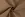 Spijkerstof - denim twill - beige - 4/RS0360-530 - Spijkerstof - denim twill - beige - 4/RS0360-530