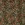 Ribcord stof - corduroy - digitaal bloemen - groen - P29020-580 - Ribcord stof - corduroy - digitaal bloemen - groen - P29020-580