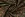 Ribcord stof - corduroy - digitaal bloemen - groen - P29020-580 - Ribcord stof - corduroy - digitaal bloemen - groen - P29020-580