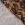 Viscose stof - twill - bladeren - bruin - P24007-540 - Viscose stof - twill - bladeren - bruin - P24007-540