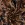 Viscose stof - twill - bladeren - bruin - P24007-540 - Viscose stof - twill - bladeren - bruin - P24007-540