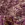 Doorgestikte stof - fluweel - bloemen - paars - 26066-045 - Doorgestikte stof - fluweel - bloemen - paars - 26066-045