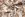 Embroidery stof - mantelstof - swirl firenze - naturel - 23069-098 - Embroidery stof - mantelstof - swirl firenze - naturel - 23069-098