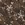 Embroidery stof - antiqua waxed denim - bloemen - donkerbruin - 23064-100 - Embroidery stof - antiqua waxed denim - bloemen - donkerbruin - 23064-100