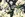 Viscose stof - stretch - satijn - bloemen - blauw - 23017-600 - Viscose stof - stretch - satijn - bloemen - blauw - 23017-600
