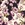 Viscose stof - stretch - satijn - bloemen - paars - 23017-810 - Viscose stof - stretch - satijn - bloemen - paars - 23017-810