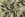 Viscose stof - mix - bladeren - groen - 23039-315 - Viscose stof - mix - bladeren - groen - 23039-315