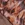 Viscose stof - mix - bladeren - terra - 23039-445 - Viscose stof - mix - bladeren - terra - 23039-445