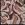 Viscose stof - mix - fantasie - rood multi - 23042-405 - Viscose stof - mix - fantasie - rood multi - 23042-405