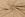 Embroidery stof - suèdine - super suede florio - naturel - 23066-178 - Embroidery stof - suèdine - super suede florio - naturel - 23066-178