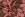 Tricot stof - punta di roma - bladeren - bruin - 26042-055 - Tricot stof - punta di roma - bladeren - bruin - 26042-055