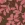 Tricot stof - punta di roma - bladeren - bruin - 26042-055 - Tricot stof - punta di roma - bladeren - bruin - 26042-055