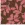 Tricot stof - punta di roma - bladeren - bruin - 26042-055 - Tricot stof - punta di roma - bladeren - bruin - 26042-055