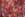 Suèdine stof - scuba suede - bloemen - fuchsia - Q22958-170 - Suèdine stof - scuba suede - bloemen - fuchsia - Q22958-170