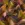 Tricot stof - punta di roma - abstract - oker - 26043-034 - Tricot stof - punta di roma - abstract - oker - 26043-034