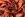 Viscose stof - satijn - abstract - koraal - 26256-013 - Viscose stof - satijn - abstract - koraal - 26256-013