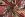 Katoenen stof - satijn - patchwork - rood multi - 2036-001 - Katoenen stof - satijn - patchwork - rood multi - 2036-001