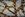 Satijn stof - kettingen - off-white - 15868-020 - Satijn stof - kettingen - off-white - 15868-020
