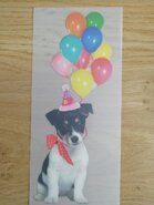 Applikationen - Fulle color applicatie hond met ballonnen
