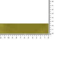 25 mm Band - Satinband apfelgrün 25 mm col. 421