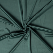 Polyester stoffen - Polyester stof - Interieur en decoratiestof Velvet - groen - 1500-025
