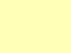 Lichtgeel - Deelbare blok rits licht geel 50 cm