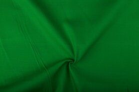 Grüne Stoffe - NB 4795-025 Canvas grasgrün 