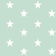 katoenen stoffen met ster - Katoen stof - stars - mint - 4954-011