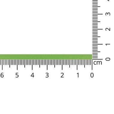 Satijnlint Mat Appelgroen 3 mm col 813 - Satijnlint Mat Appelgroen 3 mm col 813 112510-satijnlint-mat-appelgroen-3-mm-col-813-satijnlint-mat-appelgroen-3-mm-col-813.jpg