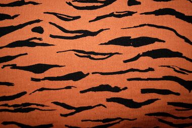 -Katoen stof - hydrofielstof - zebra - terra - 18996-455 - Katoen stof - hydrofielstof - zebra - terra - 18996-455