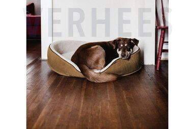 -Interieurstof - velours deco corduroy - olijfgroen - 5292-003 - Interieurstof - velours deco corduroy - olijfgroen - 5292-003