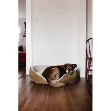 -Interieur Stoff - Velours-Deko-Cord - grau - 5292-002 - Interieur Stoff - Velours-Deko-Cord - grau - 5292-002