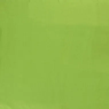 -Katoen stof - poplin - appelgroen - 5569-024 - Katoen stof - poplin - appelgroen - 5569-024