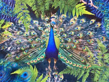 -Fluweelstof - pauwen - blauw groen - 22775-970 - Fluweelstof - pauwen - blauw groen - 22775-970
