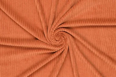 Tricot stof - corduroy - terra/oranje - 0729-454 - Tricot stof - corduroy - terra/oranje - 0729-454 138708-tricot-stof-corduroy-terraoranje-0729-454-tricot-stof-corduroy-terraoranje-0729-454.webp