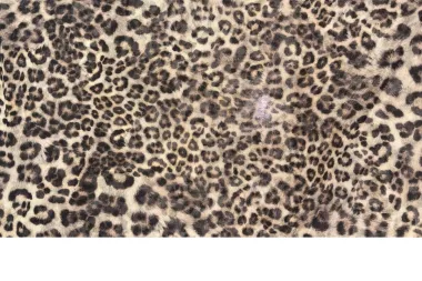 - Polyester stof - mesh - dierenprint - bruin - JT427 - Polyester stof - mesh - dierenprint - bruin - JT427