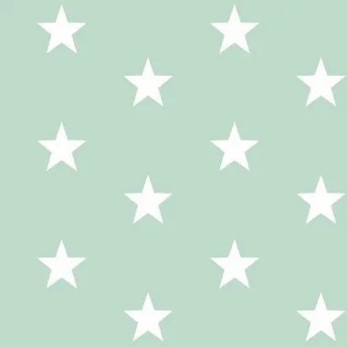 97825-katoen-stof-stars-mint-4954-011-katoen-stof-stars-mint-4954-011.jpg