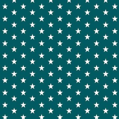 Katoen stof - little stars - zeegroen - 4955-023 - Katoen stof - little stars - zeegroen - 4955-023 97833-katoen-stof-little-stars-zeegroen-4955-023-katoen-stof-little-stars-zeegroen-4955-023.jpg