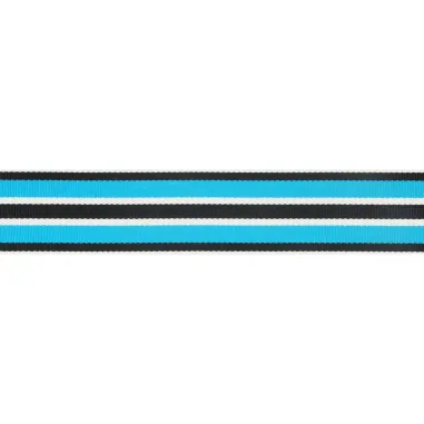 gewevenband - Gewevenband gestreept 20 mm blauw-zwart (62701-20-06)