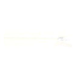 Fijne ritsen - Broek/rok rits 20 cm wit 501