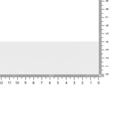 Unifarbenes Band - Satinband weiss 38 mm col 201
