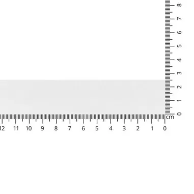 Effen uni kleur band - Satijnlint Mat Wit 25 mm col. 401