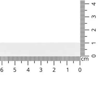 Effen uni kleur band - Satijnlint Mat Wit 10 mm col. 401