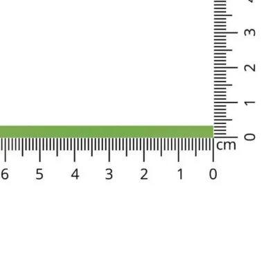3 mm Band - Satinband hellapfelgrün 3 mm col 309