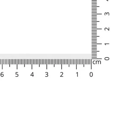 Satinband - Satinband weiss 3 mm col 201