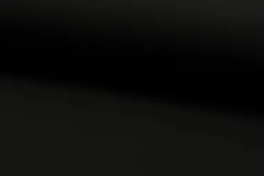 RS stoffen - RS0179-069 Katoen schwarz