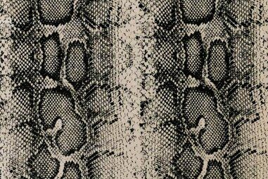 Tricot katoen stoffen - Tricot stof - snake - beige - 15572-090
