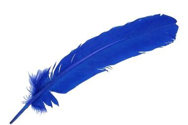 Diversen - Losse veren - 30-35 cm - blauw - 79583