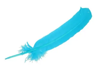 Diversen - Losse veren - 30-35 cm - turquoise - 79582